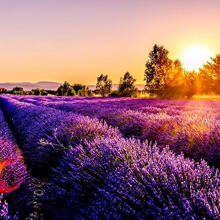 Апартаменти Chez Marius Gordes Vue Panoramique Sur Luberon Екстер'єр фото